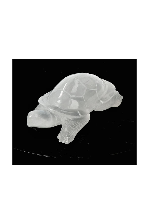 SCHILDPAD-SELENIET-026_2