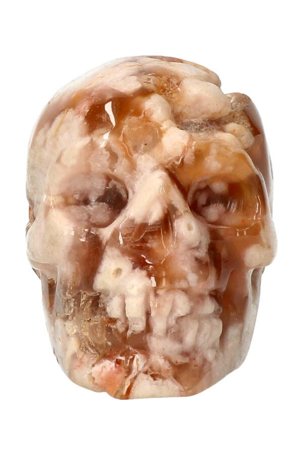 Kersenbloesem Agaat, kristallen edelsteen schedel, 7.3 cm, 237 gram 1 Kersenbloesem Agaat, kristallen edelsteen schedel, 7.3 cm, 237 gram