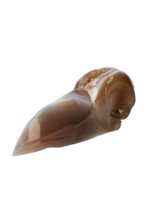 Agaat Geode Raven Schedel, 17 cm, 524 gram