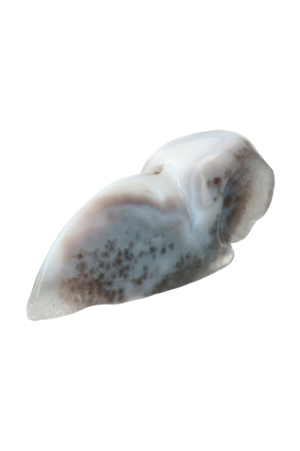 Agaat Geode Raven Schedel, 12 cm, 253 gram