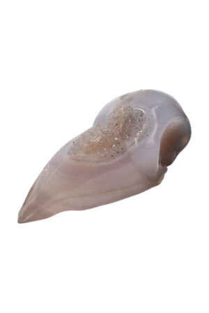 Agaat Geode Raven Schedel, 12 cm, 221 gram