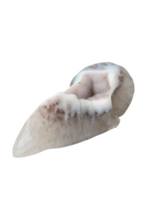 Agaat Geode Raven Schedel, 14 cm, 338 gram
