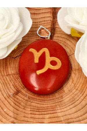 Rode Jaspis Steenbok sterrenbeeld hanger, 4 cm