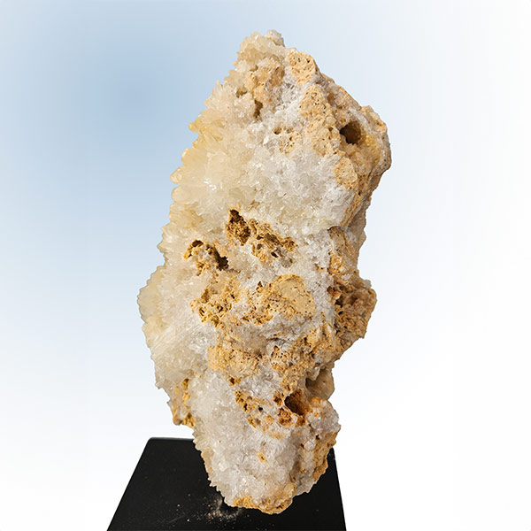 Hondentandcalciet op standaard, 10.3 kg, 39 cm - Afbeelding 3