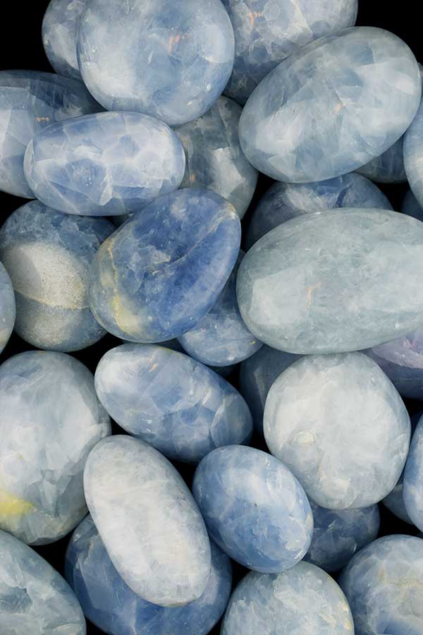 TR-BLAUWECALCIETGROOT-001-02