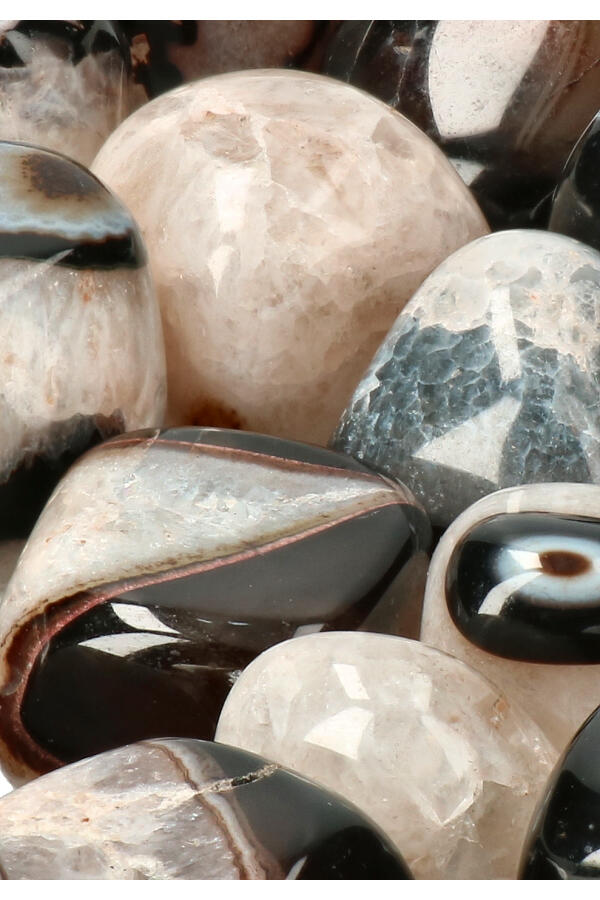 Trommel_Suleiman_4-geenmarge