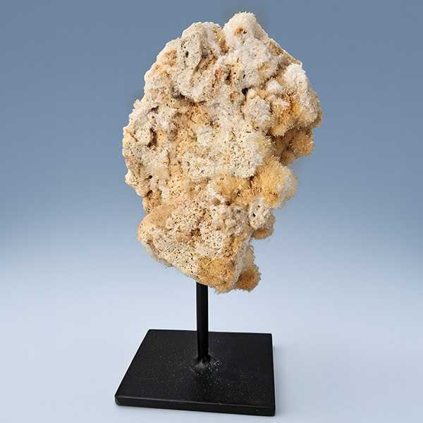 Hondentandcalciet op standaard, 6 kg, 36 cm - Afbeelding 3