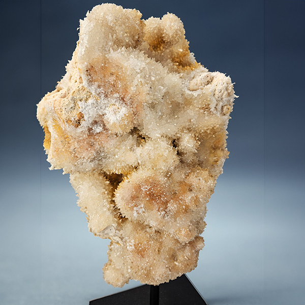 Hondentandcalciet op standaard, 6 kg, 36 cm