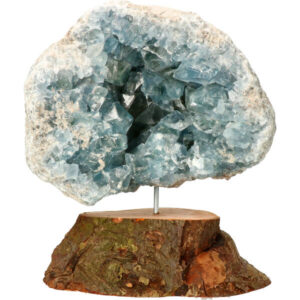 Celestien op stand van perenboom hout, 23 cm, 5.4 kg, Madagaskar