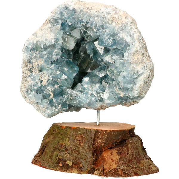 celestien-op-stand-288_4-geenmarge