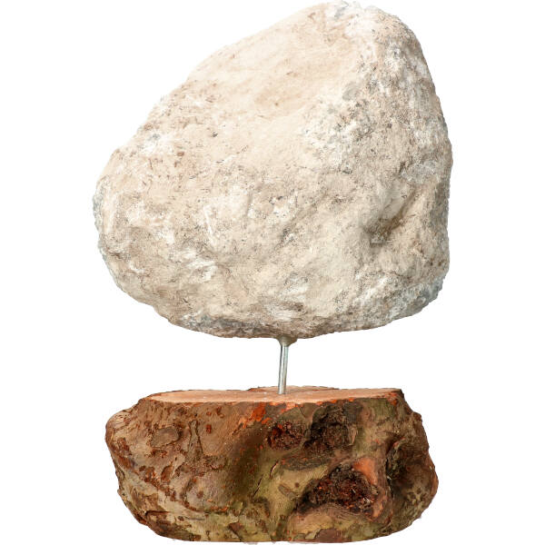 celestien-op-stand-292_2-geenmarge