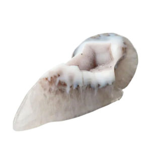 agaat chalcedoon geode ravenschedel