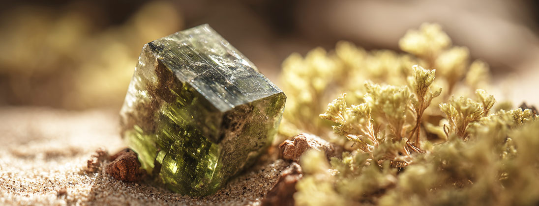 Epidoot ruw top kwaliteit