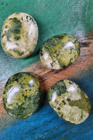 Epidoot palm steen, circa 6-7 cm, Rusland