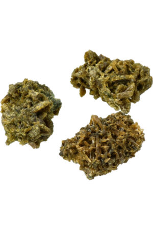 Forest Epidoot cluster, 2-200 gram, 1-9 cm