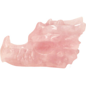 rozenkwarts drakenschedel