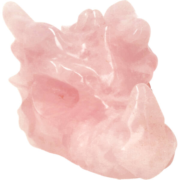 rozenkwarts drakenschedel