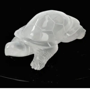 seleniet schildpad