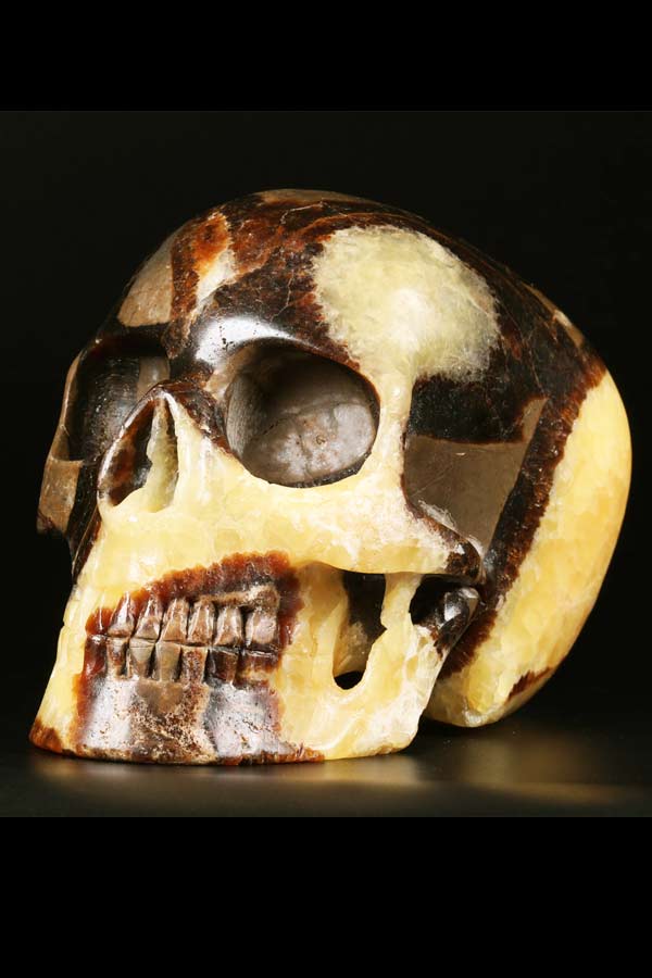 Septarie 'Mitchel Hedges' realistische kristallen schedel, 12.5 cm, 1.12 kg